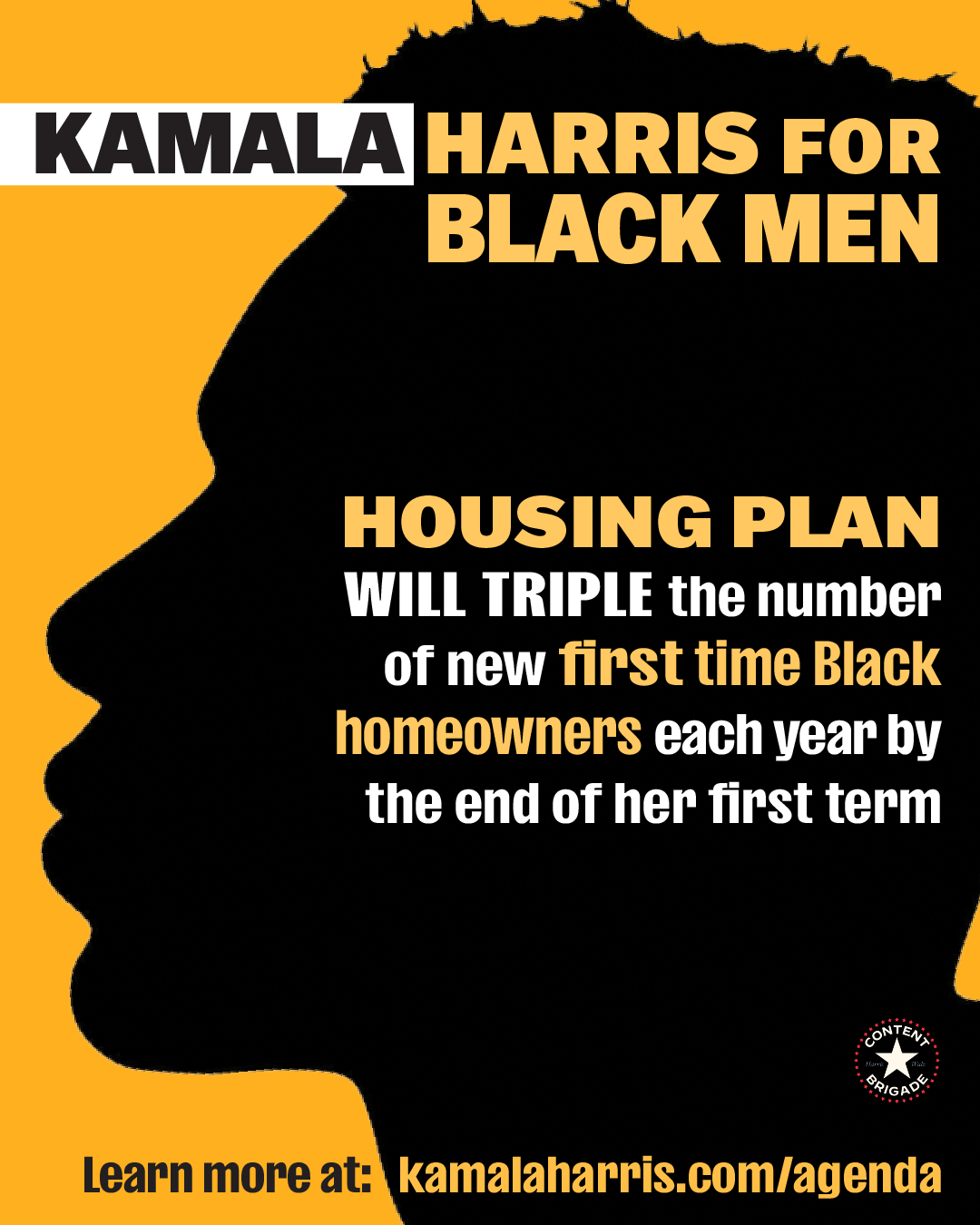 Black_man_housing.png